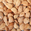 closeup view of almonds